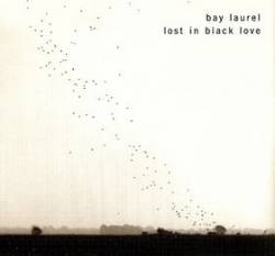 Bay Laurel : Lost in Black Love